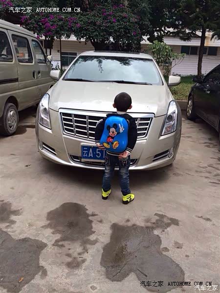 整体还不错，性价比超高的