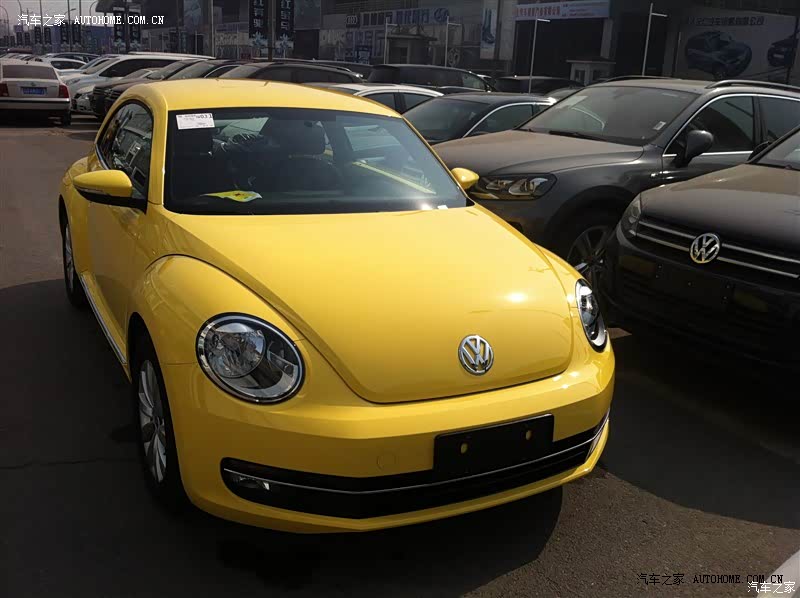 虫行天下，乐得悠闲。