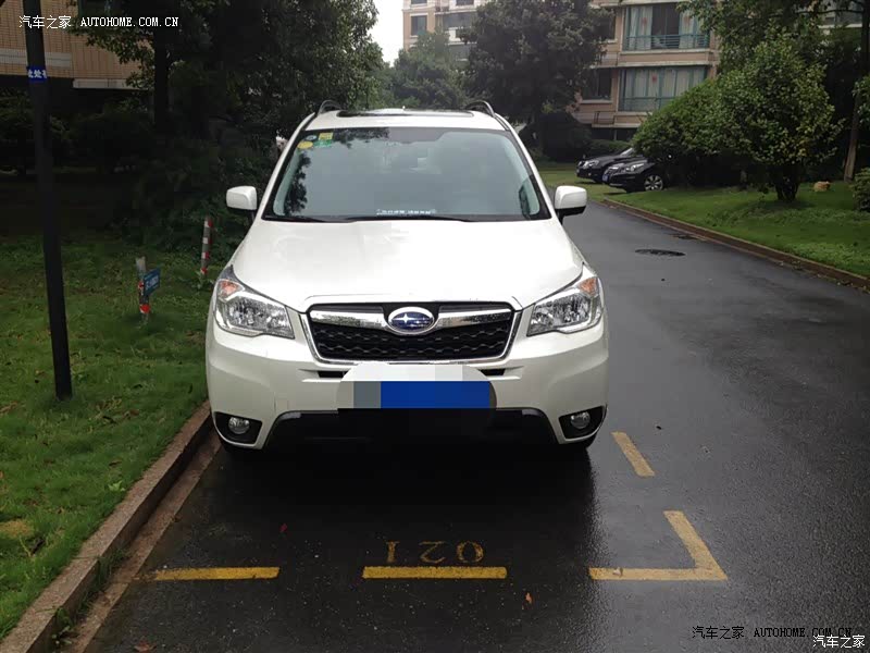 物有所值，买森林人不后悔的选择