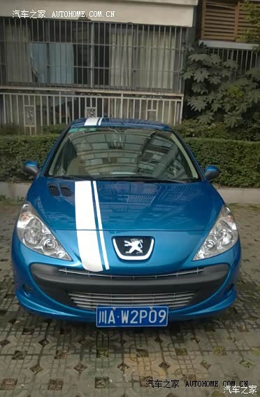 值得拥有的小狮子