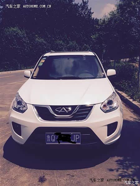 我与老白虎的这几个月