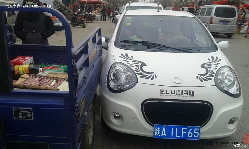 白喵八个月的感受