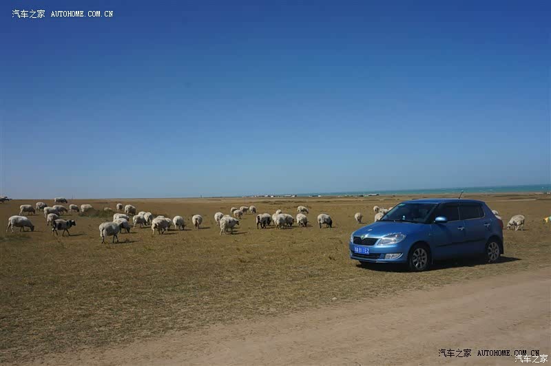 好开，皮实，省油，选择晶锐不后悔